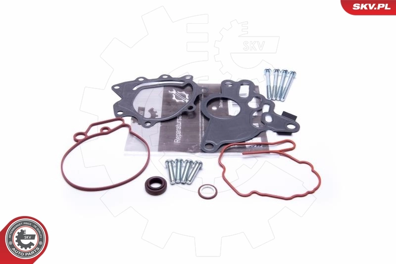 Repair Set, vacuum pump (braking system)